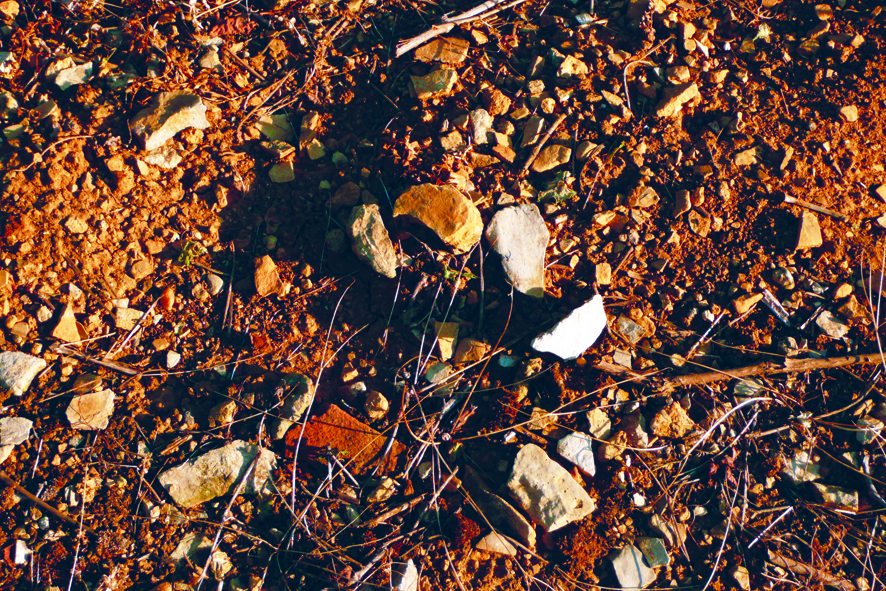 Sol Argilo Calcaire Sol Argilo Calcaire